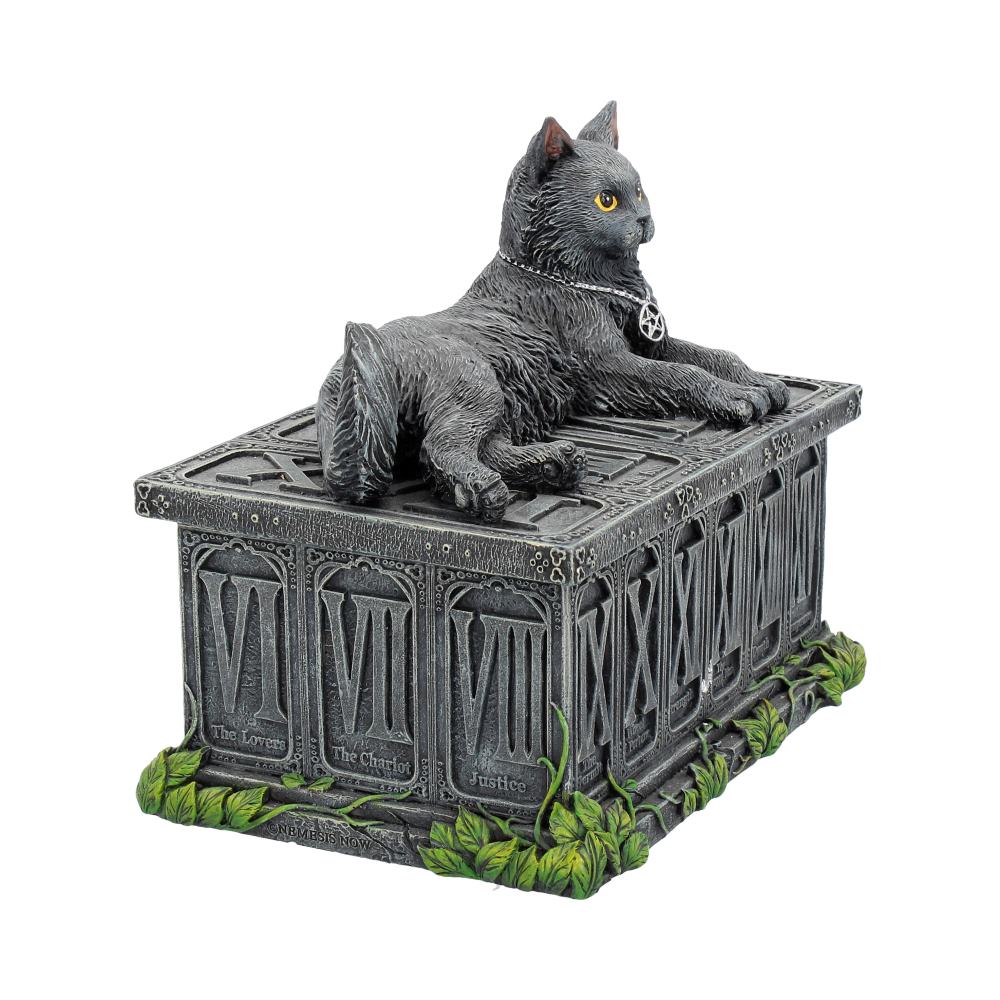 FORTUNE'S WATCHER - CAT - FAMILIAR - TAROT CARD HOLDER OR TRINKET BOX - 17cm