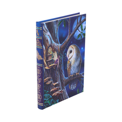 LISA PARKER - OFFICIALLY LICENSED - FAIRY TALES - OWL - JOURNAL - 17cm