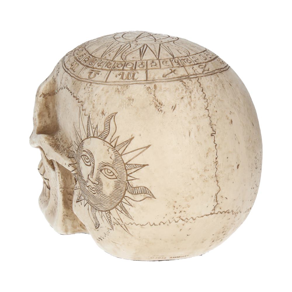 ASTROLOGICAL (STAR SIGN) SKULL - GOTHIC SKULL ORNAMENT 20cm