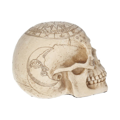 ASTROLOGICAL (STAR SIGN) SKULL - GOTHIC SKULL ORNAMENT 20cm