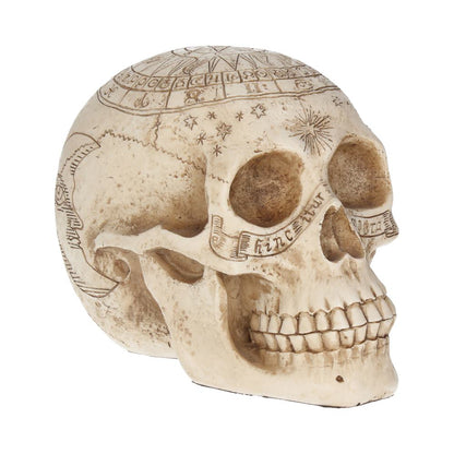 ASTROLOGICAL (STAR SIGN) SKULL - GOTHIC SKULL ORNAMENT 20cm