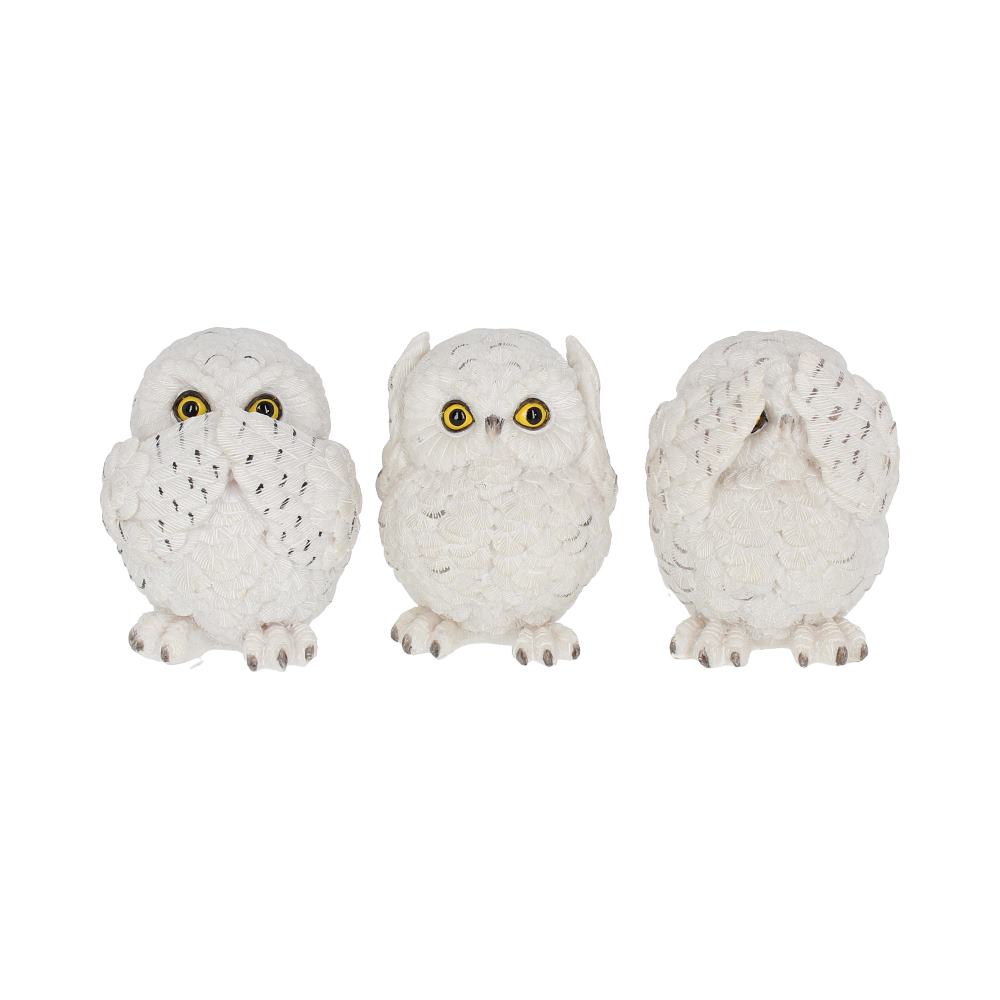 THREE WISE OWLS - SEE NO EVIL, HEAR NO EVIL, SPEAK NO EVIL