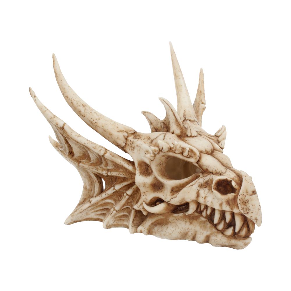 DRAGON SKULL - LUMO - THE LUMINESCENT LIGHT UP DRAGON SKULL