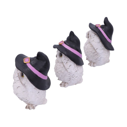 THREE WISE FEATHERED FAMILIARS - OWLS WITH HATS - SEE NO EVIL, HEAR NO EVIL, SPEAK NO EVIL