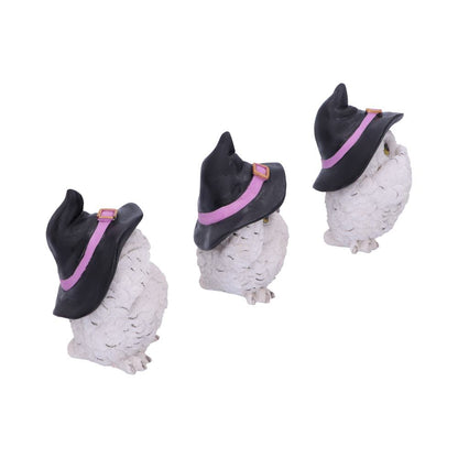 THREE WISE FEATHERED FAMILIARS - OWLS WITH HATS - SEE NO EVIL, HEAR NO EVIL, SPEAK NO EVIL