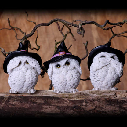 THREE WISE FEATHERED FAMILIARS - OWLS WITH HATS - SEE NO EVIL, HEAR NO EVIL, SPEAK NO EVIL